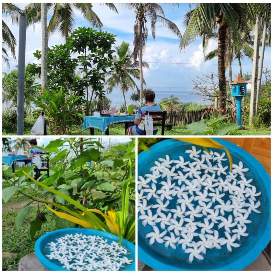 Tehan Homestay Dikwella Sur Habitación foto
